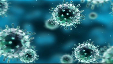 WEBSEMINAR: VIRUS ZOONÓTICOS EMERGENTES EN UN MUNDO GLOBALIZADO: SARS-CoV-2/COVID 19 Y SUS IMPLICACIONES EN SALUD PÚBLICA