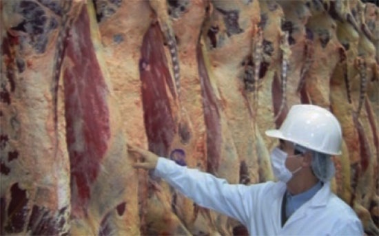 Edicion II: curso PRESENCIAL de inspección en mataderos de bovinos