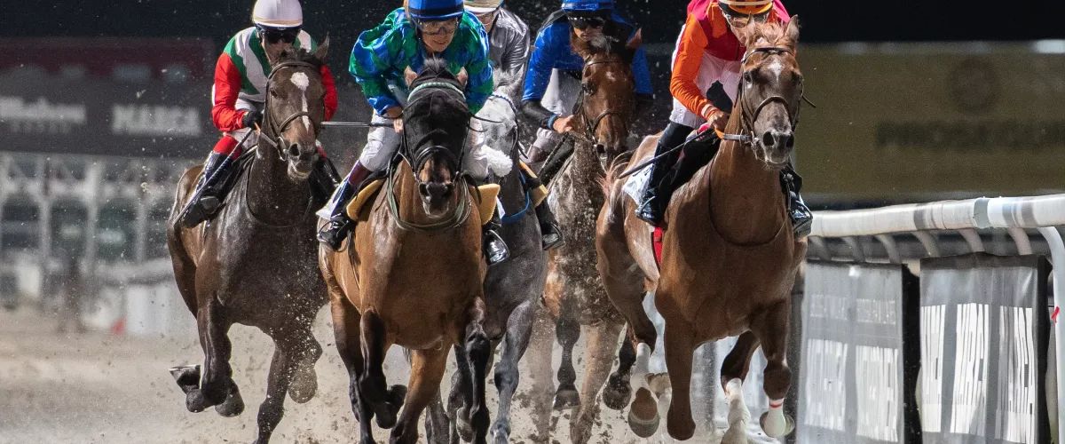 Visita de Carreras en el Hipódromo de la Zarzuela 09.03.2025-10:00h